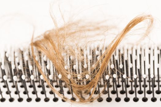 Close-up of hair loss, long hair, alopecia on white background with brush, comb nobody