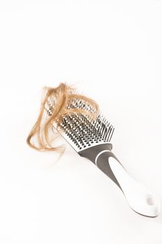 Close-up of hair loss, long hair, alopecia on white background with brush, comb nobody