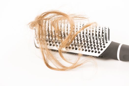 Close-up of hair loss, long hair, alopecia on white background with brush, comb nobody