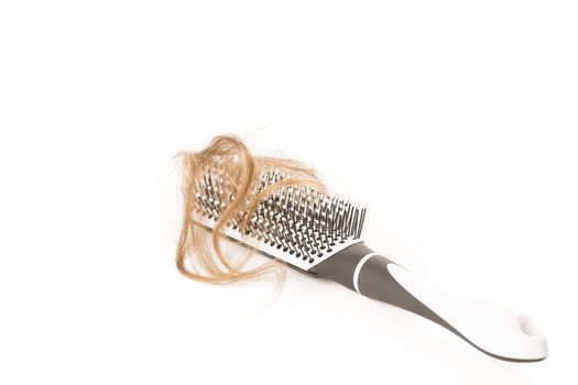 Close-up of hair loss, long hair, alopecia on white background with brush, comb nobody