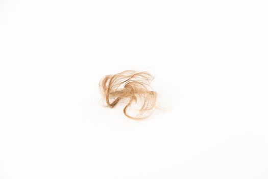 Close-up of hair loss, long hair, alopecia on white background with brush, comb nobody