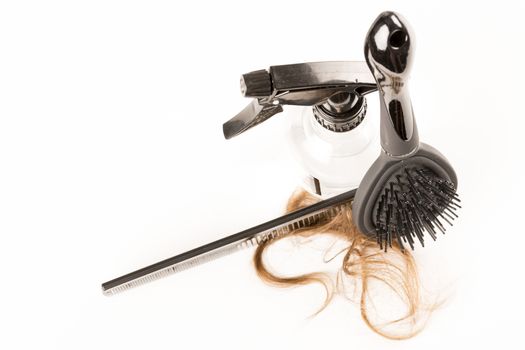 Close-up of hair loss, long hair, alopecia on white background with brush, comb nobody