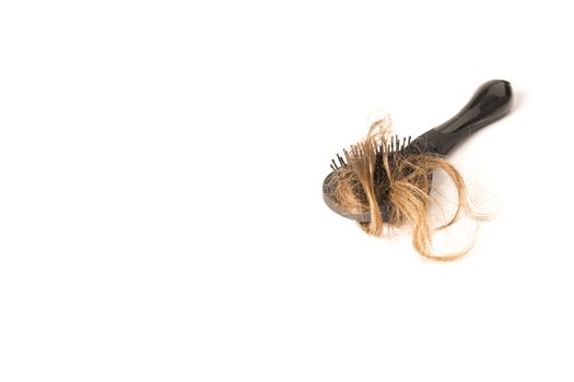 Close-up of hair loss, long hair, alopecia on white background with brush, comb nobody