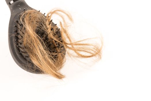 Close-up of hair loss, long hair, alopecia on white background with brush, comb nobody