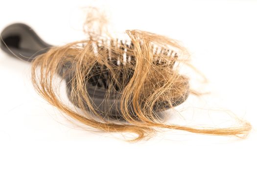 Close-up of hair loss, long hair, alopecia on white background with brush, comb nobody