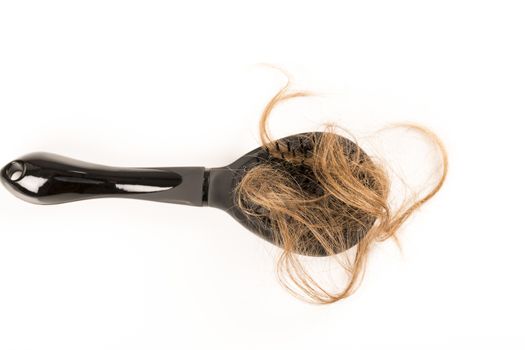 Close-up of hair loss, long hair, alopecia on white background with brush, comb nobody