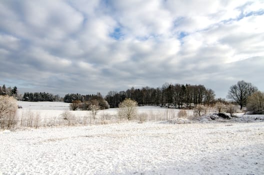 Winter Snow in Countryside European Farmland