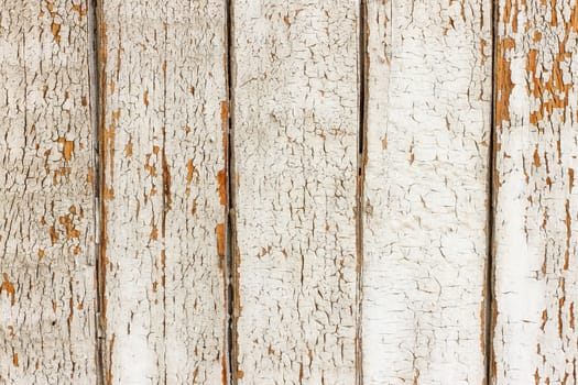 Vintage or grungy white background of natural wood or wooden old texture as a retro pattern layout.