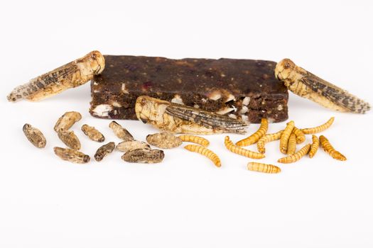 Fried crickets locust molitor insects, cereal energy bar made with insects powder, food of future rich protein France