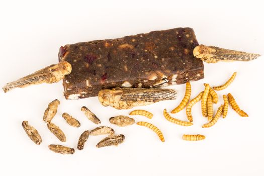 Fried crickets locust molitor insects, cereal energy bar made with insects powder, food of future rich protein France