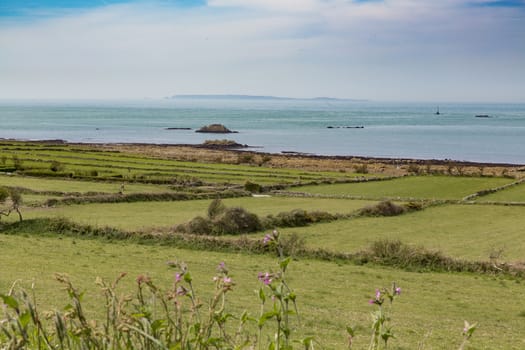 Beautiful coastline beach san ocean grass France