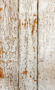 Vintage or grungy white background of natural wood or wooden old texture as a retro pattern layout.