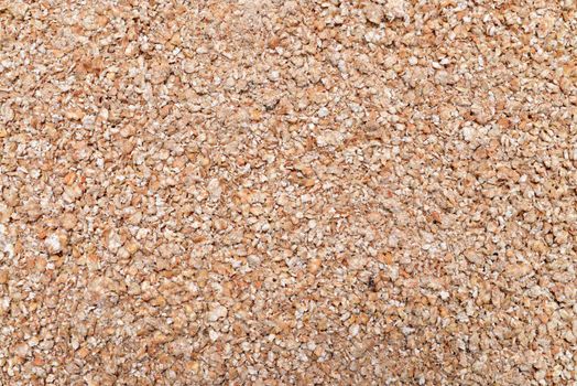 buckwheat cereal plant grinded seeds texture pattern