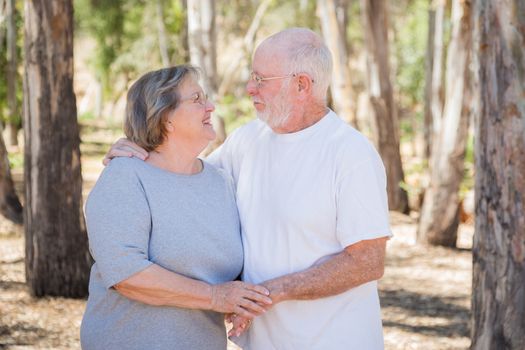 Happy Senior Couple Portrait Outdoors At Park.