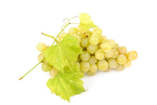 Fresh green grapes with leaves isolated on white