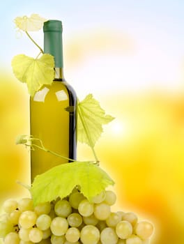 White wine bottle and grapes on background