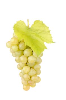 Fresh green grapes with leaves isolated on white