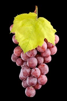 Fresh green grapes with leaves isolated on black