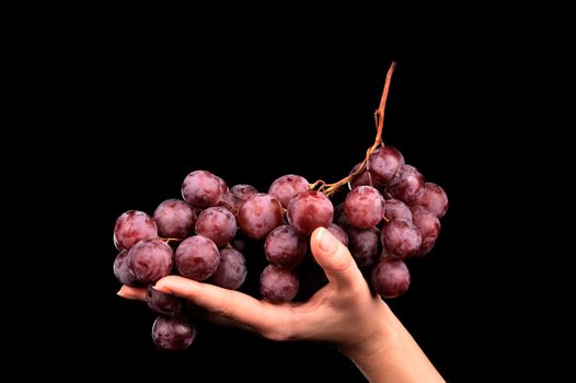 Fresh red grapes isolated on black