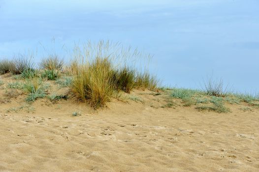 Sand dunes near the beach with blue sky