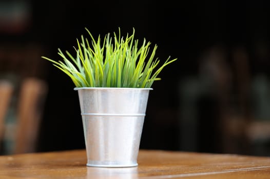 Green grass in a metal pot on a dark background 