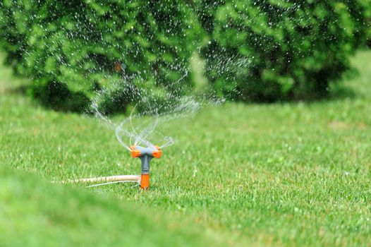 Garden sprinkler working on a green grass lawn