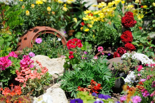 Lush landscape garden with flower bed and colorful plants