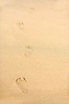 Human footprints on the beach sand leading away from the viewer