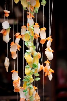 Seashells on dark background on tropical resort