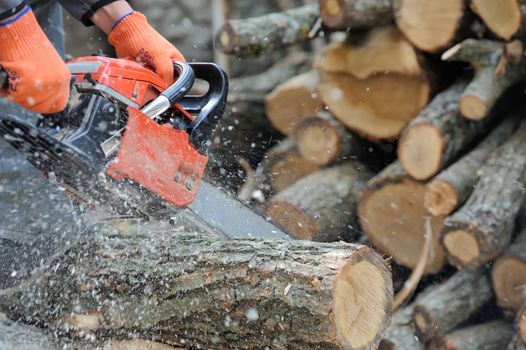 Close-up professional chainsaw blade cutting log of wood