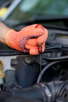 Man inspects the level of oil on a car engine dipstick