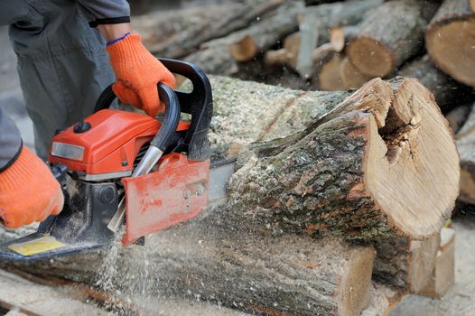 Close-up of male hands cutting trunk with chainsaw