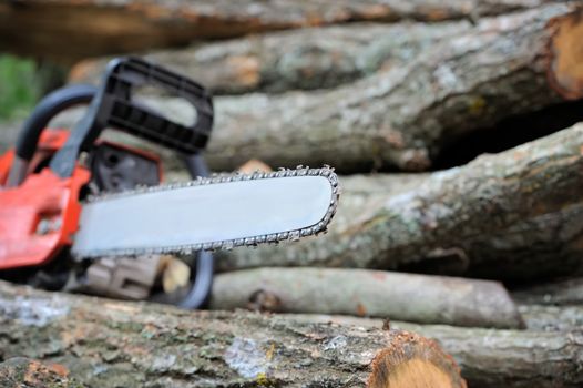 Close-up chainsaw and many tree trunks