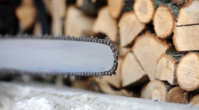 Close-up professional chainsaw blade cutting log of wood