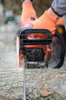 Close-up professional chainsaw blade cutting log of wood