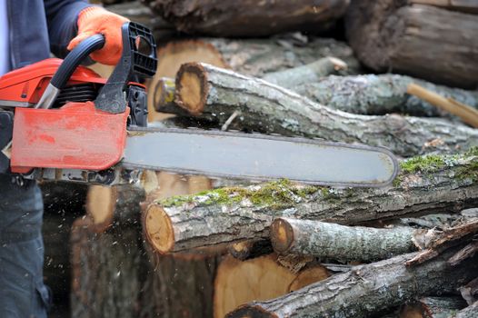 Close-up of male hands cutting trunk with chainsaw