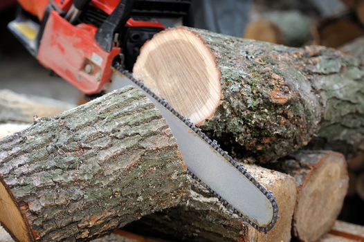 Close-up of male hands cutting trunk with chainsaw