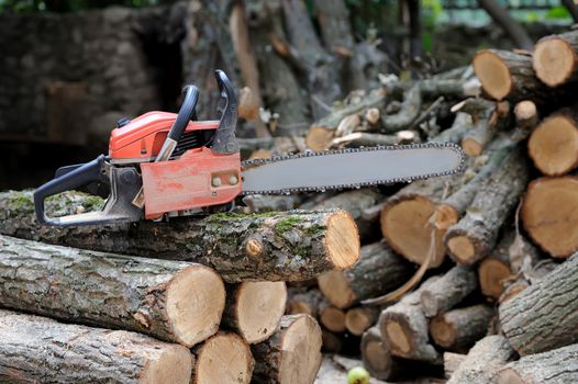 Close-up professional chainsaw blade cutting log of wood