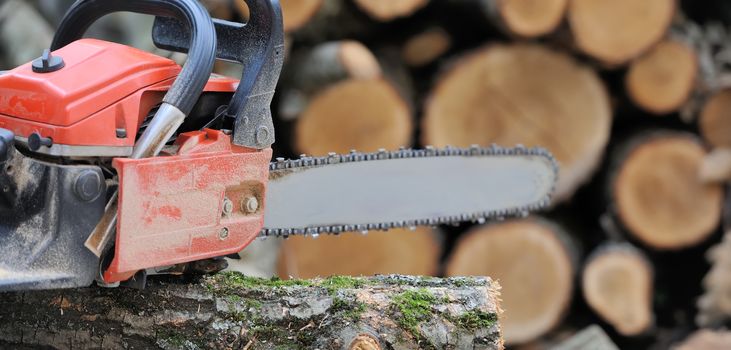 Close-up professional chainsaw blade cutting log of wood