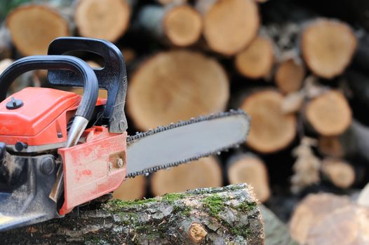 Close-up chainsaw and many tree trunks