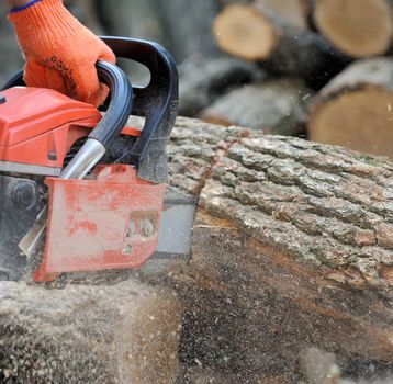 Close-up professional chainsaw blade cutting log of wood