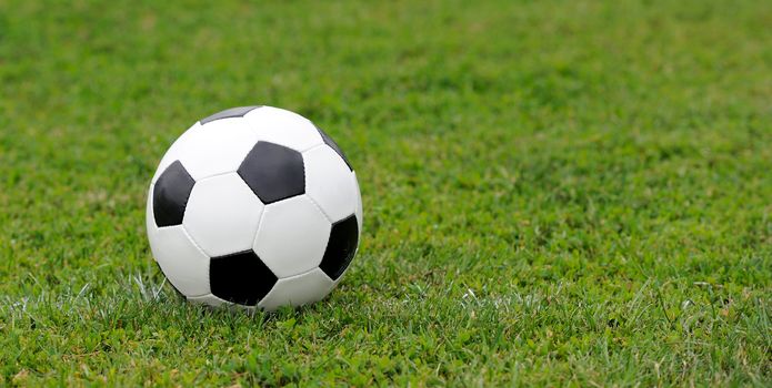 Close-up soccer ball on green grass