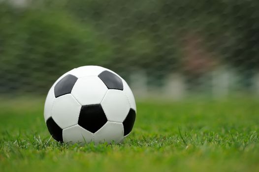 Close-up soccer ball on green grass