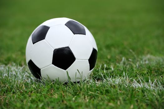 Close-up soccer ball on green grass