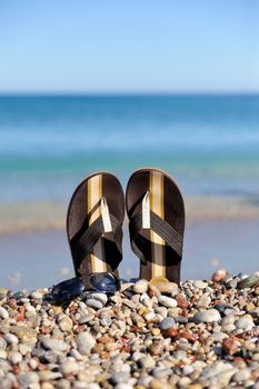 Summer vacation concept. Flip flops on a sandy ocean beach