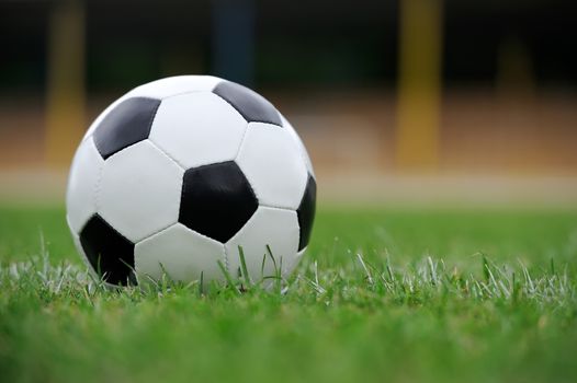 Close-up soccer ball on green grass