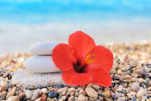 Stack of pebbles and flower at the beach