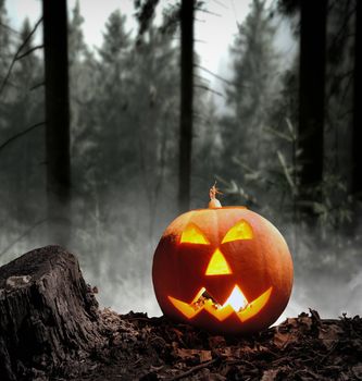 Halloween pumpkin (jack-o-lantern) on dark background