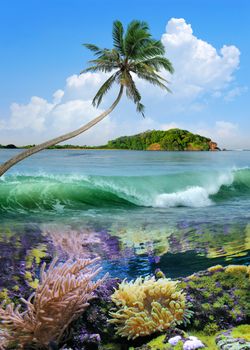 Beautiful island with palm trees and blue sky