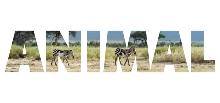 Background with word "Animal". Letters are made of animal